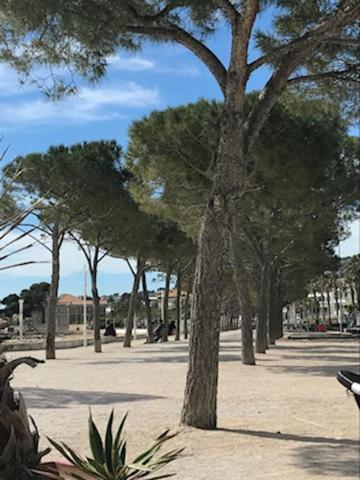 La Ciotat : Superbe Appartement Proche Du Port المظهر الخارجي الصورة